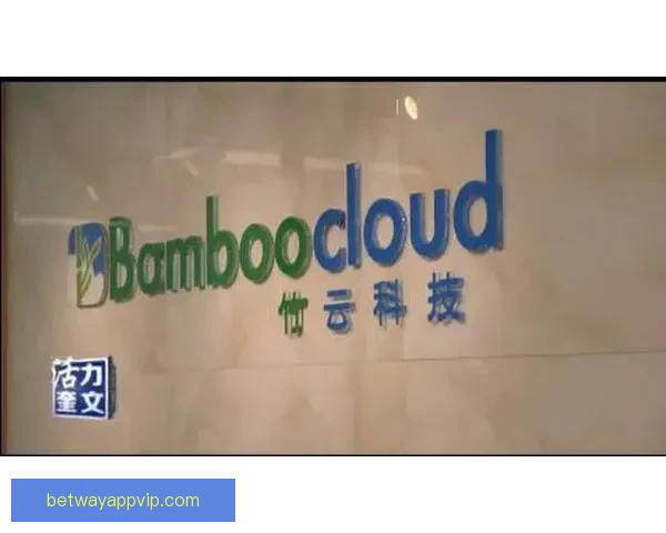 Betway入口最新官方登录指南详解与使用全流程攻略