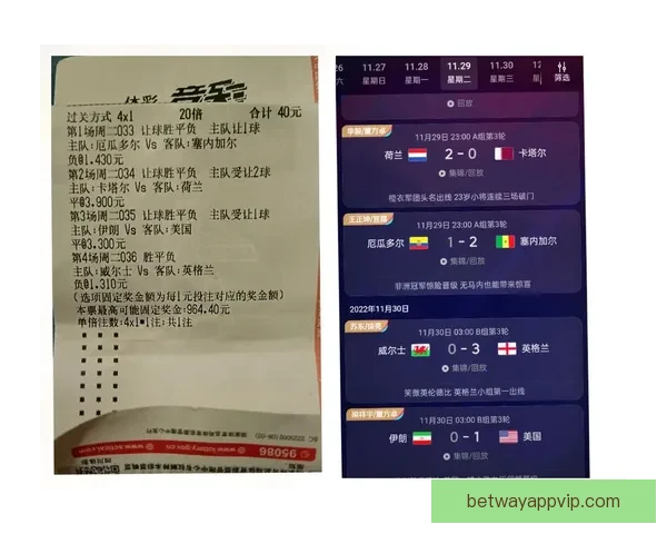 世界杯竞猜赛事全攻略解析助你精准预测每场比赛胜负
